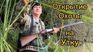 Охота на утку открытиеружьё Bettinsoli XTrail [upl. by Metzgar]