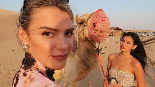 24 Hours in Abu Dhabi With WolfieCindy [upl. by Norah]