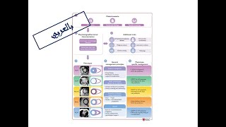 1 Definition amp Classification of CMs Arabic Version [upl. by Suivat]