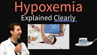 Hypoxemia Explained Clearly  Causes Physiology Hypoxia Treatment [upl. by Chap]