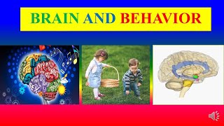 BRAIN AND BEHAVIOR  Biological basis of behavior   Applied psychology for Nursing [upl. by Airla]