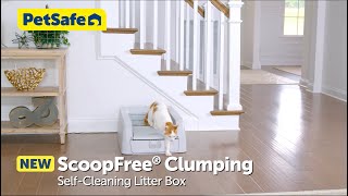 Say Goodbye to Scooping with the ScoopFree® Clumping Litter Box [upl. by Nagad]