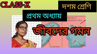 CLASS  X💥দশম শ্রেণি প্রথম অধ্যায়📚 Movement ⛹️ in bangla 💯🔥 [upl. by Maureene]