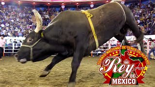 ¡TORNEO REY DE MÉXICO 2020 30 DE LOS MEJORES TOROS DE REPARO DE MÉXICO Y EUA [upl. by Ateekram]