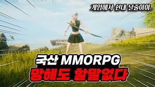 쉰내나는 국산 MMORPG 로한2 솔직한 리뷰 [upl. by Accber210]