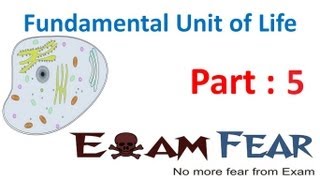 CLASS9  THE FUNDAMENTAL UNIT OF LIFE PART2 CELL MEMBRANEDIFFUSION OSMOSIS [upl. by Llorrac]