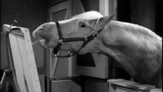 Mister Ed Seasons 1 amp 2  DVD Trailer [upl. by Harden]