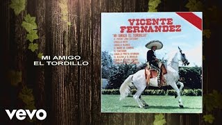 Vicente Fernández  Mi Amigo el Tordillo Cover Audio [upl. by Vassili393]