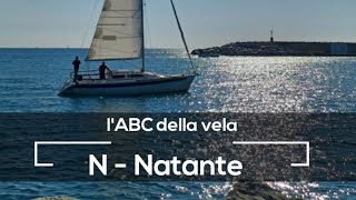 LABC della vela N  Natante  Gli short [upl. by Dearman718]