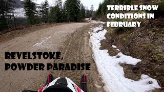 Techinal treeriding and shortcut  BC Canada [upl. by Ahsote]