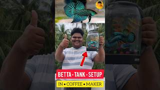 BETTA FISH 🐠 TANK SETUP IN COFFEE MAKER ☕ DIY  jeelanivlogger aquarium tanksetup [upl. by Udall]