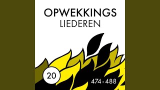 De kracht van uw liefde 488 [upl. by Daraj]