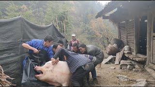 The new method of killing pigs in rural areas is easy to handle by two people Its really fun [upl. by Odessa]