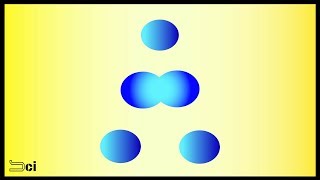 MITOSIS  Cell division explained in Tamil [upl. by Katherine]