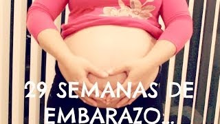 29 SEMANAS DE EMBARAZO 7 MESES DE EMBARAZO TERCER TRIMESTRE DE EMBARAZO [upl. by Lizbeth877]