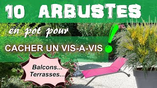 10 arbustes persistants à cultiver en pot pour cacher un visàvis sur une terrasse ou un balcon [upl. by Heyes]