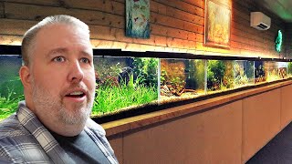 Finally Back in the Fish Room Feeding Cleaning Testing Products  Fish Room Update Ep 138 [upl. by Larrie]