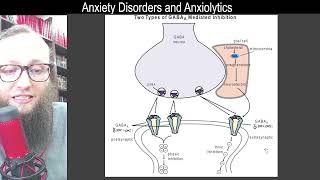 09 10  GABA A mediation of tonic and phasic inhibition [upl. by Araeic]