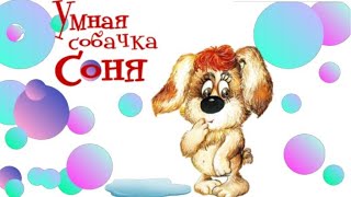 Умная Cобачка СОНЯ🐶 Собачка Соня Андрей Усачев Аудиосказки для детей Знаменитая собачка Соня [upl. by Otti150]