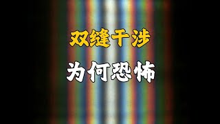 雙縫干涉實驗證明這個世界是虛擬的？（思想實驗版） [upl. by Nodyarg717]