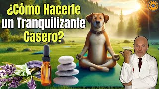 ☮️ ¿COMO HACER UN TRANQUILIZANTE CASERO PARA PERROS ☮️ [upl. by Warthman]