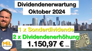 115097 € Bruttodividenden erwarte ich im Oktober für mein Aktiendepot quotNo risk no funquot [upl. by Trebuh482]