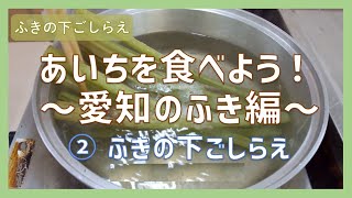 あいちを食べよう！「愛知のふき」②ふきの下ごしらえ／生協（COOP）でおすすめの配達購入可能な商品を深堀り！【コープあいち公式】ほこチャンネル [upl. by Aihcrop]