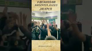 9 Muharram Juloos Haiderpur Jaunpur moharram 1446hijri 2024shorts video likeandsubscribe [upl. by Ainivad865]