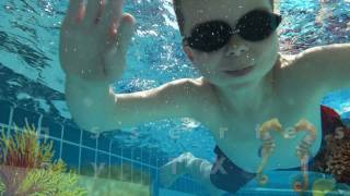 Test Sony TX 10 Tauchen waterproof wasserdicht Cybershot Unterwasserkamera [upl. by Nnylav]