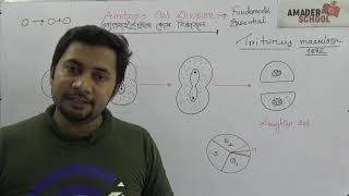 Amitosis Cell Division  অ্যামাইটোসিস কোষ বিভাজন ।। HSC Botany Chapter 3 [upl. by Mallin]