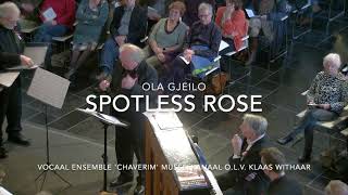 vocaal ensemble Chaverim Musselkanaal olv Klaas Withaar Spotless rose  Ola Gjeilo HD 1080p [upl. by Sekyere]