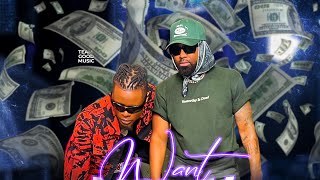 Pallaso amp Konshens  WANT MONEY Official Video [upl. by Dnalro]