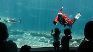 Santa Claus Makes a Splash at uShaka Marine World in Durban South Africa [upl. by Missak344]