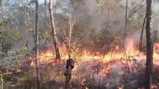 Tiwi Islands  A Year Of Fire [upl. by Hermon]