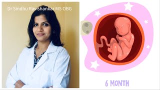 6th Month of Pregnancy in Kannada  21 to 25 weeks of Pregnancy  Dr Sindhu Ravishankar [upl. by Hsuk422]