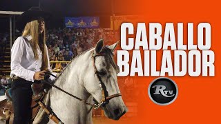 🐴🟠 Caballo Bailador Costarricense de Paso  RysolTV [upl. by Haissem541]