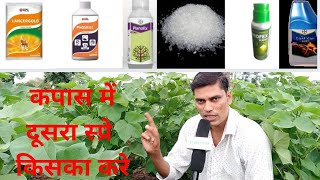 Cotton 2nd spray imida18acephate50  monocrotophos 36  planofix  mgso4 कपास में दूसरा स्प्रे [upl. by Ettezoj267]