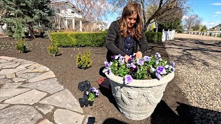 Pinching Snapdragons Simple Spring Containers amp Transplanting Iris 🌿✂️🙌  Garden Answer [upl. by Ahsata]