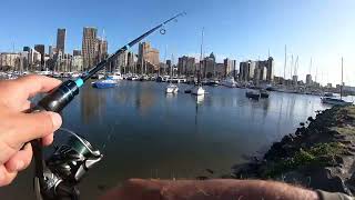 Holiday Fishing Spot Durban Harbour [upl. by Nihi]