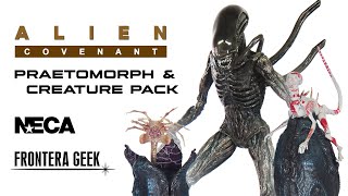 NECA  Alien Covenant PRAETOMORPH Xenomorph amp CREATURE PACK  Review en Español  Unboxing Review [upl. by Linnet]