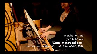 Catalina Vicens  Renaissance Harpsichord JFogliano and M Cara Live at MA Festival Brugge 18 [upl. by Eceinhoj201]