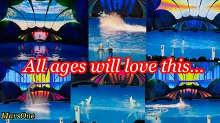 🇺🇸🐬🩵Dolphin Presentation amp Show at Georgia Aquarium in Atlanta  Wave of Fun  Georgia  USA ​⁠ [upl. by Rooker]