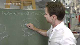 Kreidezeit 88 Prokaryoten  Eukaryoten [upl. by Terti]