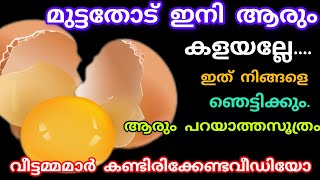 മുട്ടത്തോട് ഇനി ആരും കളയല്ലേ😱 ഈ വീഡിയോ കണ്ടാൽ നിങ്ങൾ മുട്ടത്തോട് കളയില്ലuses of egg shell powder [upl. by Eirrehc]