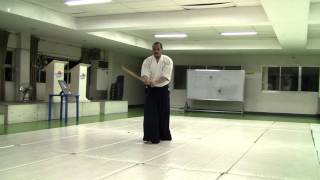 Bokken 7 Basic Suburi 木剣基本7素振り [upl. by Monney]