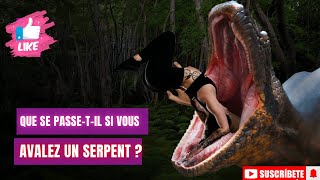 Que se passe t il si vous avalez un serpent  anaconda  serpent venimeux [upl. by Dysart]