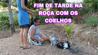 DESSA VEZ VOU TER MAIS COELHOSOLHA A ESPOSA DELE 🐇 DEU ISSO NOS MEU EXAMES raios X coluna [upl. by Aeel]