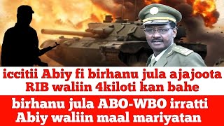 masaraa Mootummaati Birhanu jula Ajajoota wbo dadhabuu Abiyit himee iccitii marii  Moha Oromo [upl. by Cirdahc]