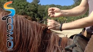 Cómo coger las riendas del caballo  Tutorial hípica [upl. by Ayocat]