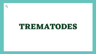 Trematodes Parasitology  Flukes  morphology lifecycle lab diagnosis treatment  MedZukhruf [upl. by Tresa]